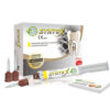 SYNTEX
