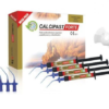 Cerkamed - Calcipast Forte Calcium Hydroxide (Mega Pack 4X2.1g)