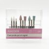 RA0309 Composite Polishing Kit 1X9pcs. Assorted